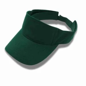 Sun visor